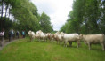 /album/gilhoc-par-les-cretes-jeudi-22-mai-9-h/2025-05-22-gilhoc-sur-ormeze-03-jpg/